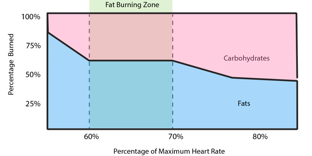 graphic visualizing the fat burning zone with maximum heart rate and fat burn examplaes in percentages