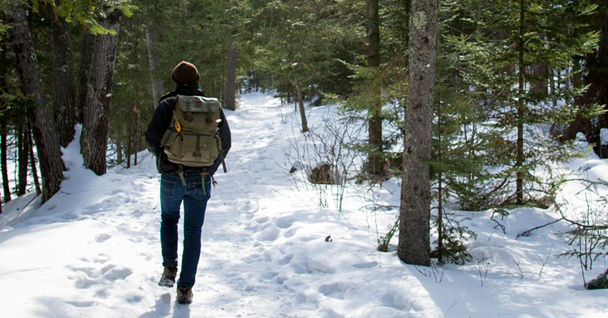 snow shoeing is one of the best activities for burning calories in the winter